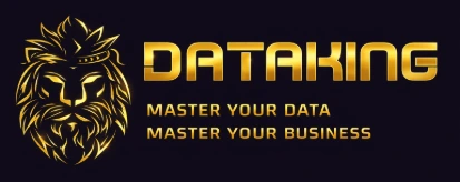 DataKing